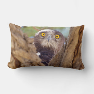Coussin Rectangle Aigle à serpent à poitrine blanche