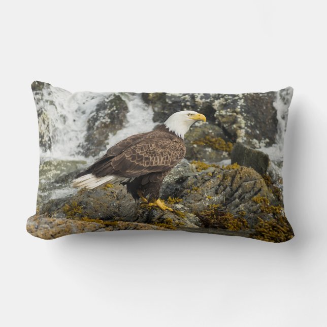Coussin Rectangle Aigle à tête blanche (Recto)