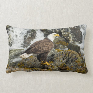 Coussin Rectangle Aigle à tête blanche