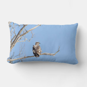 Coussin Rectangle Aigle à tête blanche juvénile