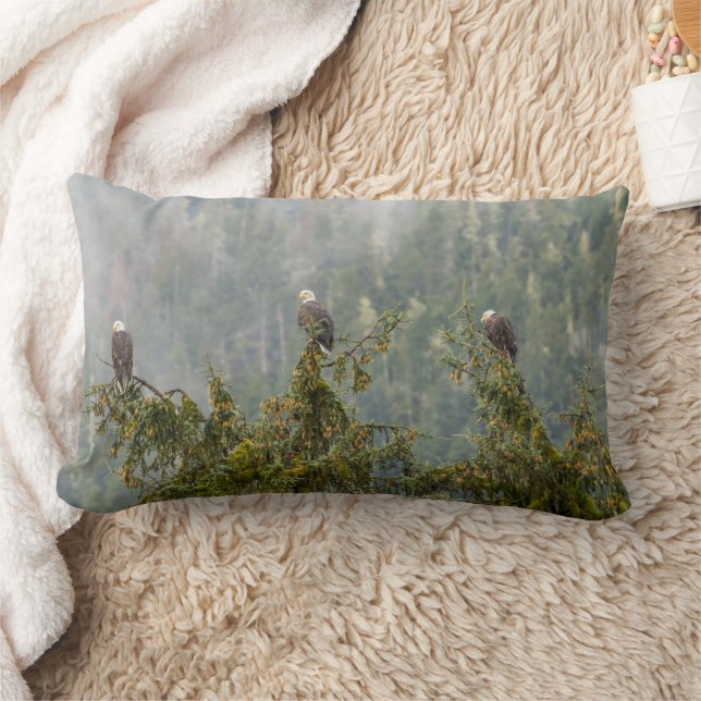 Coussin Rectangle Aigles chauds | Tongass National Forest Alaska (Couverture)