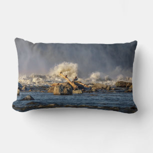Coussin Rectangle Aigles Et Eau Brute