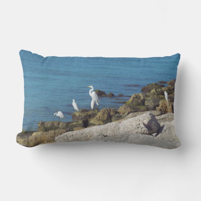Coussin Rectangle Aiguille blanche neige en Surf (Recto)
