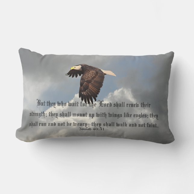 COUSSIN RECTANGLE AILES COMME EAGLES (Recto)