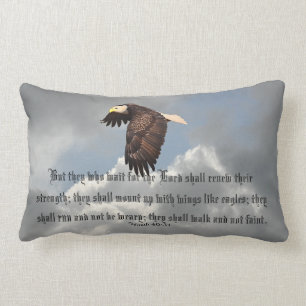 COUSSIN RECTANGLE AILES COMME EAGLES