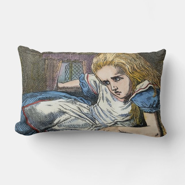 COUSSIN RECTANGLE ALICE AU PAYS DES MERVEILLES (Recto)