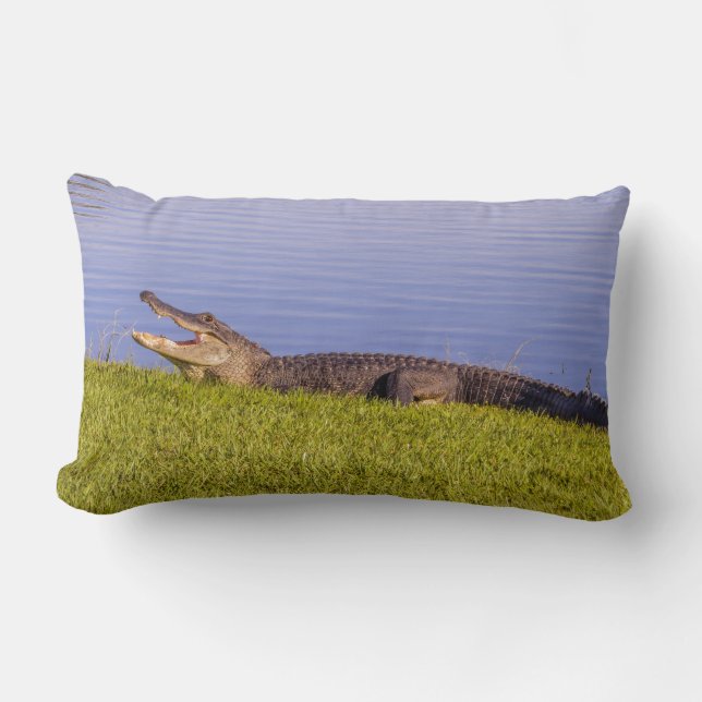 Coussin Rectangle Alligator américain (Recto)