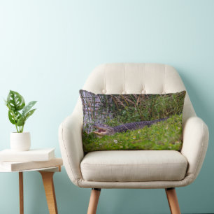 Coussin Rectangle Alligator dans les prairies des zones humides de F