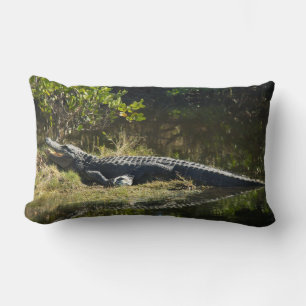 Coussin Rectangle Alligator de Floride sur une rive herbeuse – Marai