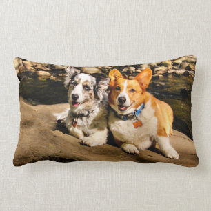 Coussin Rectangle Amants de corgi