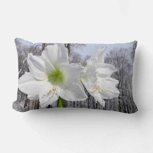 Coussin Rectangle Amaryllis blanche et neige II (Recto)