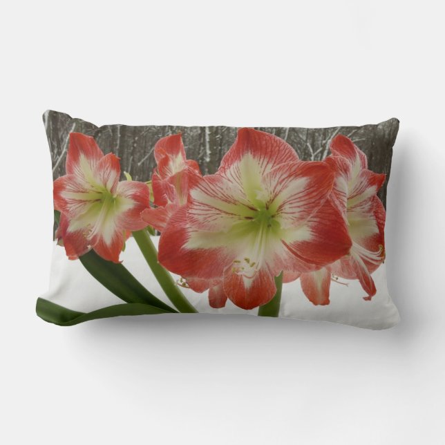 Coussin Rectangle Amaryllis dans la neige Fleurs rouges de vacances  (Recto)