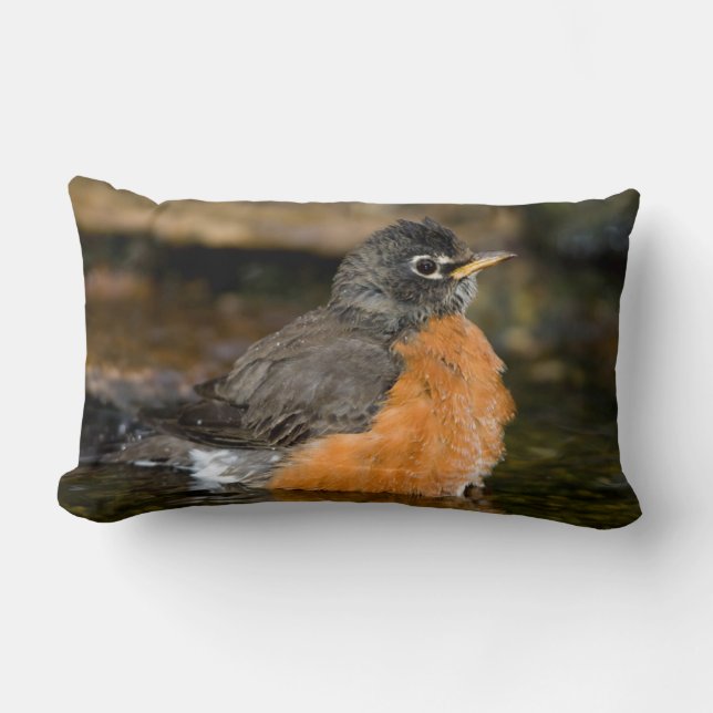 Coussin Rectangle American Robin bain 2 (Recto)