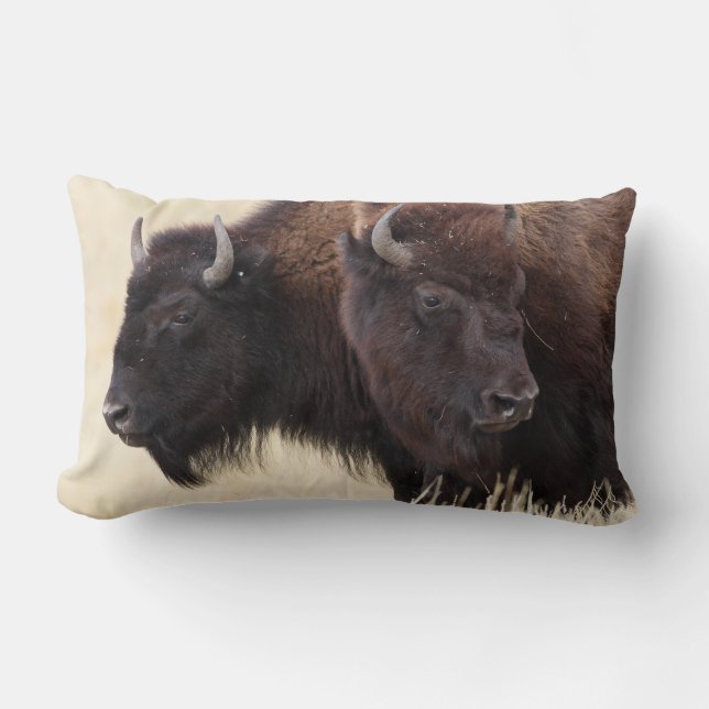 Coussin Rectangle amitié de bison (Recto)