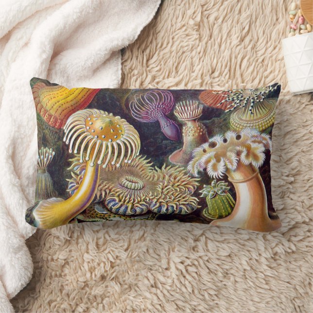 Coussin Rectangle Anémone de mer Nature scientifique Océan (Couverture)