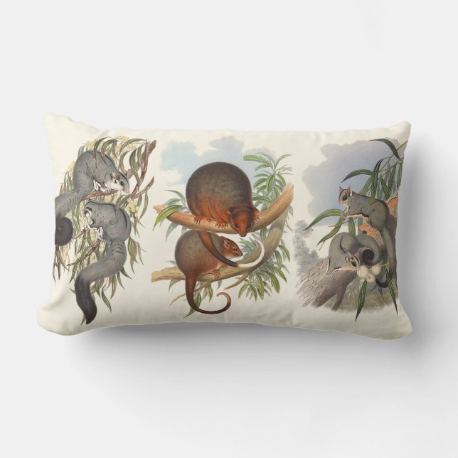 Coussin Rectangle Animaux D'Australie Les Trois Poussons (Recto)
