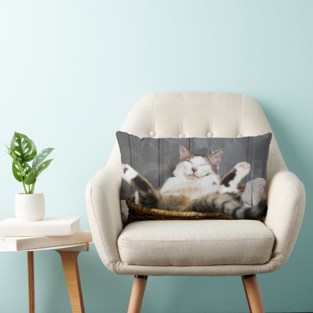 Coussin Rectangle Animaux de bébés cutest | Chat dans le lit (Chaise)