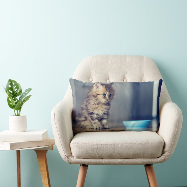 Coussin Rectangle Animaux de bébés cutest | Chaton persan aux yeux b (Chaise)