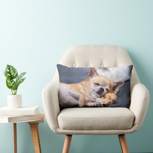 Coussin Rectangle Animaux de bébés cutest | Chihuahua Chig aux cheve (Chaise)