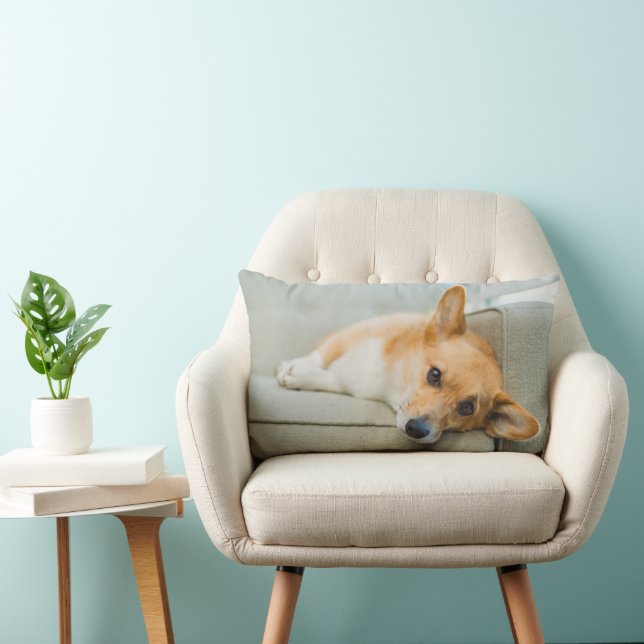 Coussin Rectangle Animaux de bébés cutest | Chiot de Corgi sur canap (Chaise)