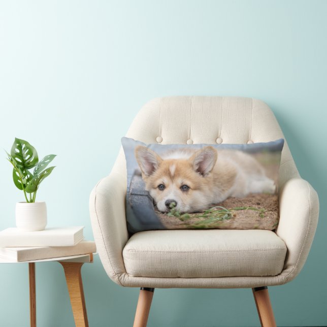 Coussin Rectangle Animaux de bébés cutest | Corgi Laying in the Yard (Chaise)
