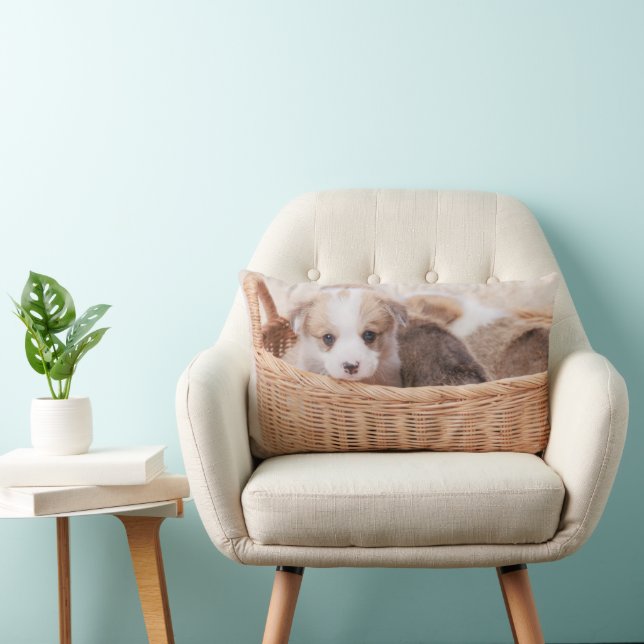 Coussin Rectangle Animaux de bébés cutest | Corgi Miny Puppy (Chaise)