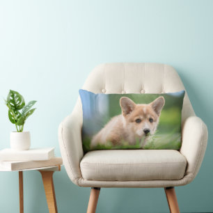 Coussin Rectangle Animaux de bébés cutest Corgi Puppy dans le tria