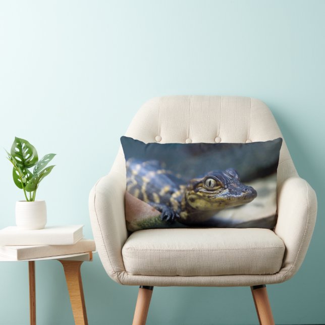 Coussin Rectangle Animaux de bébés cutest | Jeune alligator (Chaise)