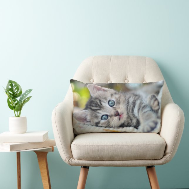 Coussin Rectangle Animaux de bébés cutest | Kitten aux yeux bleus (Chaise)
