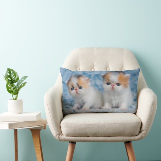 Coussin Rectangle Animaux de bébés cutest | Persian Calico Kitten (Chaise)