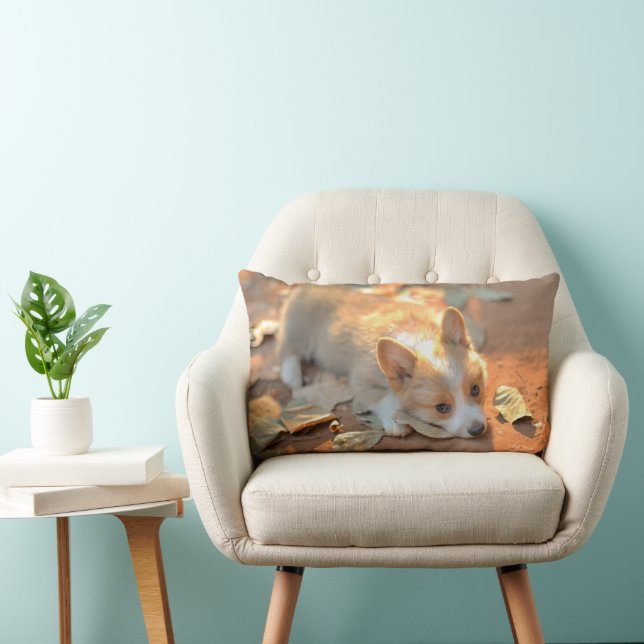 Coussin Rectangle Animaux de bébés cutest | Shy Corgi (Chaise)