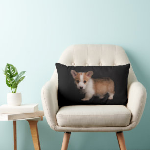 Coussin Rectangle Animaux de bébés cutest   Tiny Corgi