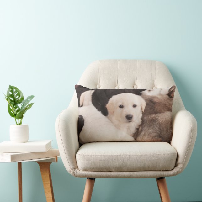Coussin Rectangle Animaux de bébés cutest | Un mignon seau de chiots (Chaise)
