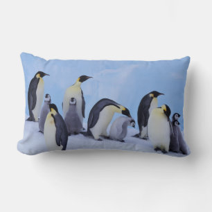 Coussin Rectangle Antarctique, Emporer Penguins