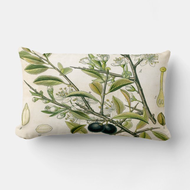 Coussin Rectangle Antique Blackthorn Botanique Imprimé Fleur Berry (Recto)