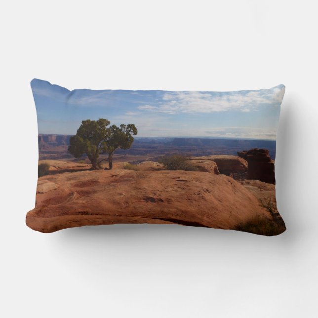 Coussin Rectangle Arbre hors des rochers rouges I à Canyonlands (Recto)