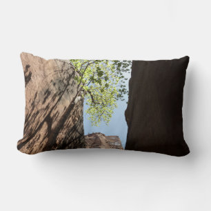 Coussin Rectangle Arbre qui pousse entre les rochers dans le parc na