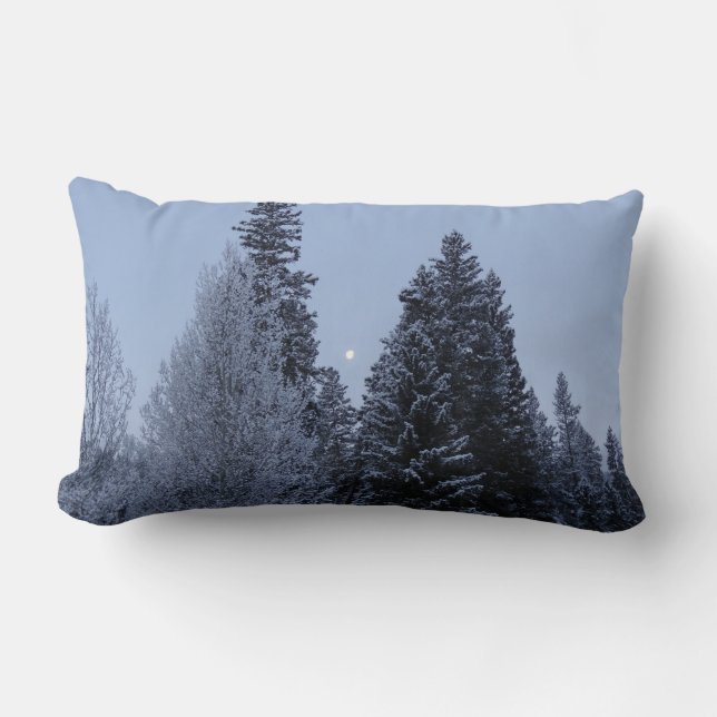Coussin Rectangle Arbres d'hiver à Dawn Montana Paysage (Recto)