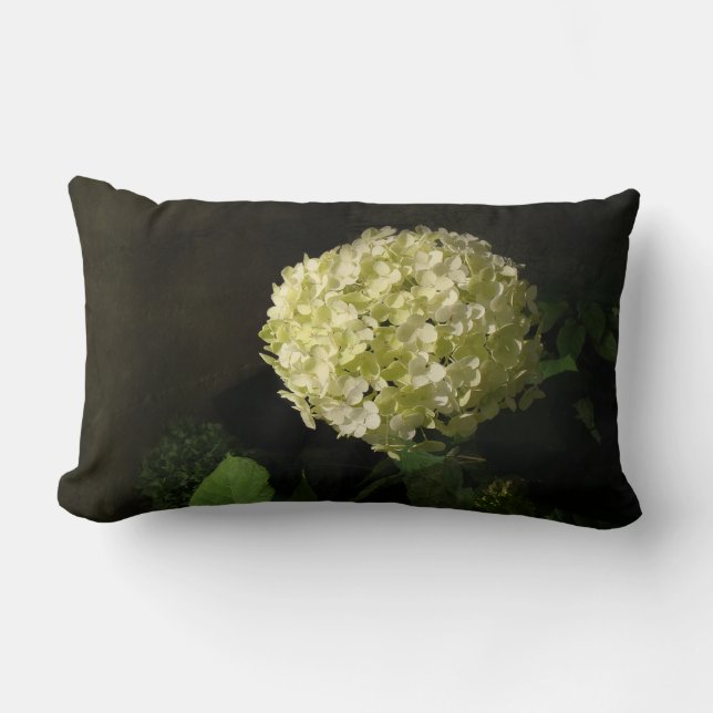 Coussin Rectangle Archarme Annabelle Hydrangea Bloom (Recto)