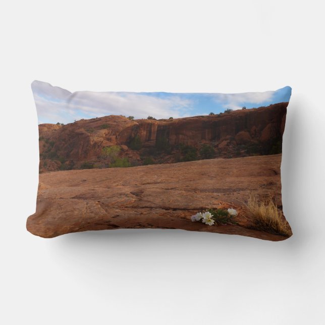 Coussin Rectangle Arches Slickrock et soir Primrose Paysage (Recto)