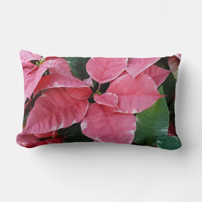 Coussin Rectangle Argent Star Marbre Poinsettias Pink Holiday Floral (Recto)