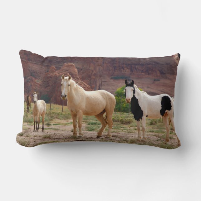 Coussin Rectangle Arizona, réserve indienne navajo, Chinle, (Recto)