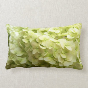 Coussin Rectangle Arrière - plan blanc de fleur d'hortensia