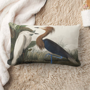 Coussin Rectangle Art vintage de l'aigrette rousse d'Audubon