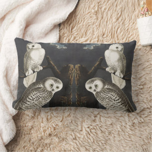 Coussin Rectangle Art vintage de l'oiseau de nuit Hibou blanc d'Audu