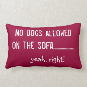 Coussin Rectangle Aucuns chiens permis