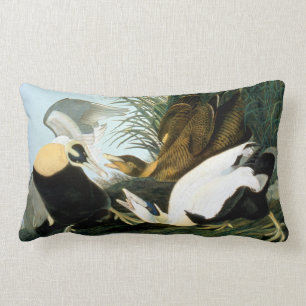Coussin Rectangle Audubon : Canard d'Eider