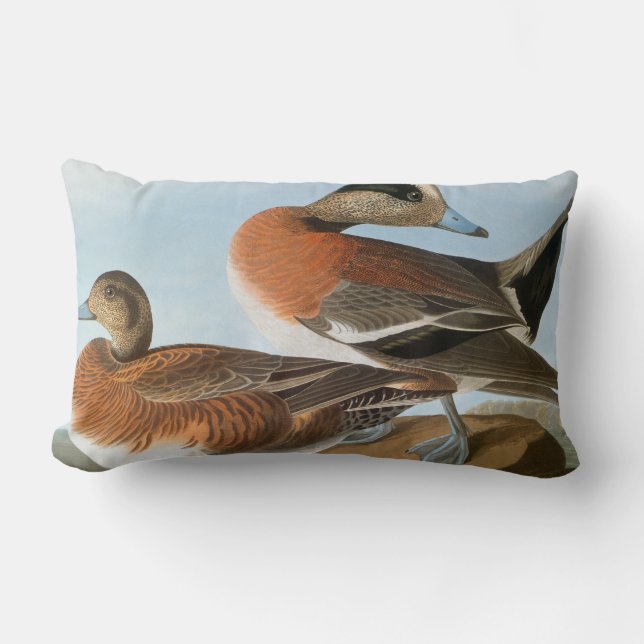 Coussin Rectangle Audubon : Canard siffleur (Recto)
