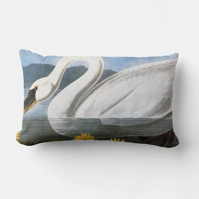 Coussin Rectangle Audubon : Cygne commun (Recto)