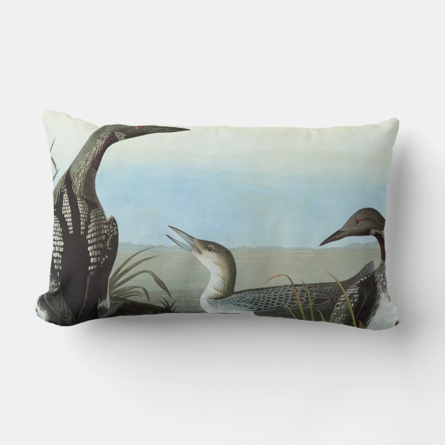 Coussin Rectangle Audubon : Dingue arctique (Recto)